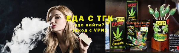 амф Верхний Тагил