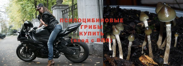 амф Верхнеуральск