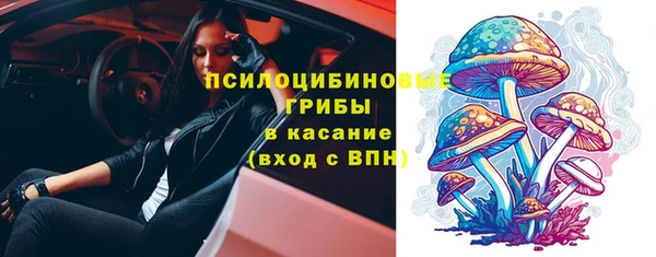 амф Верхний Тагил