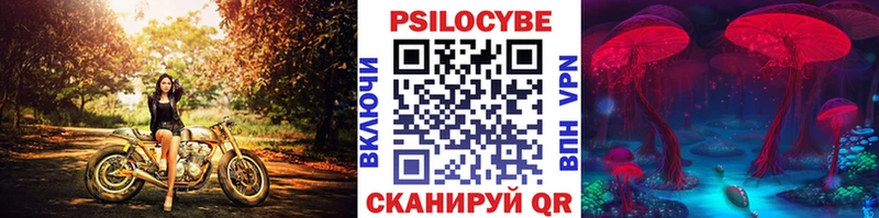 Галлюциногенные грибы ЛСД  МЕГА маркетплейс  Волхов  сколько стоит 